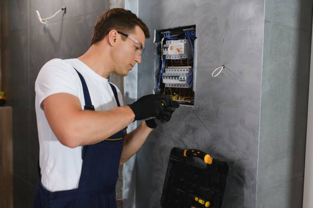 Best Electrical Repair Services  in Fellsmere, FL